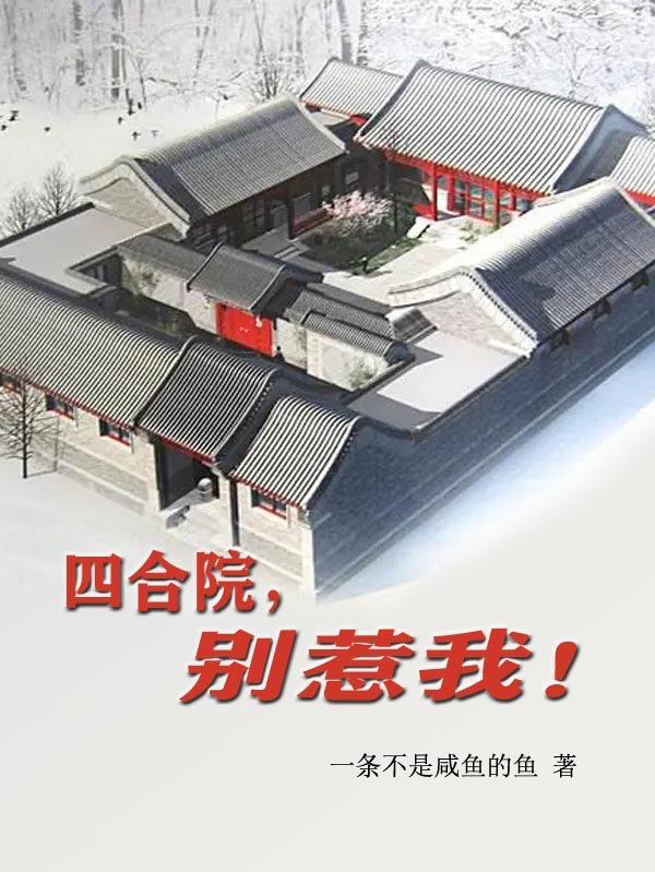 四合院别墅真石漆