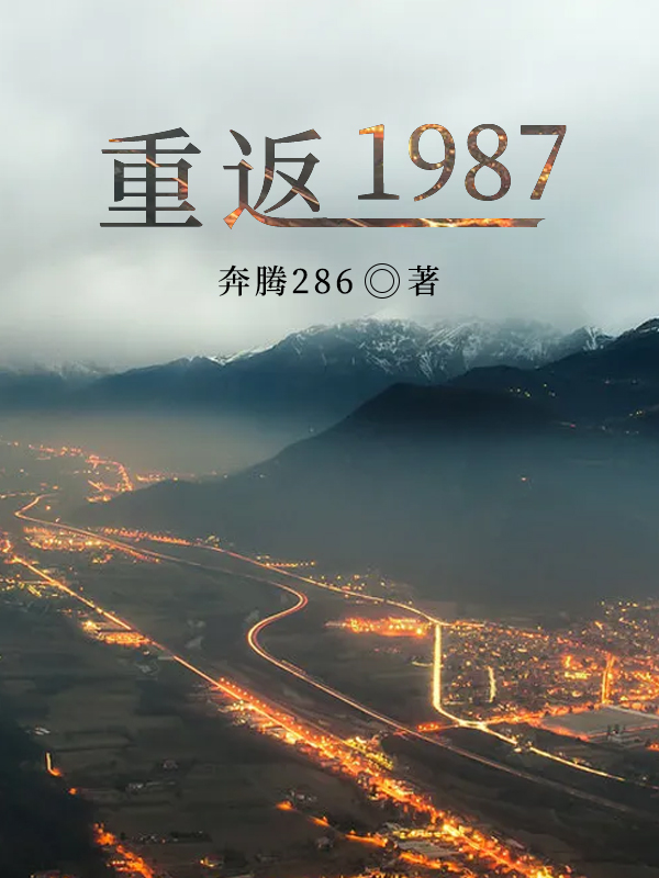 重返1987 小说半勺大西瓜