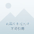 大夏第一皇子小说