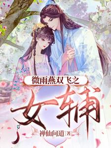 微雨燕双飞小说