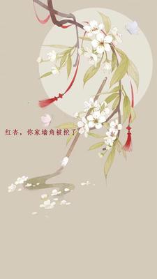 前夫,你被金主设计了