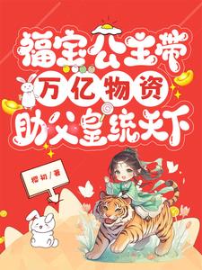 小说主角福宝