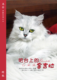 吧台上的空调开关